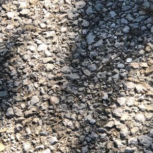 Meet your Posher, Aundrea